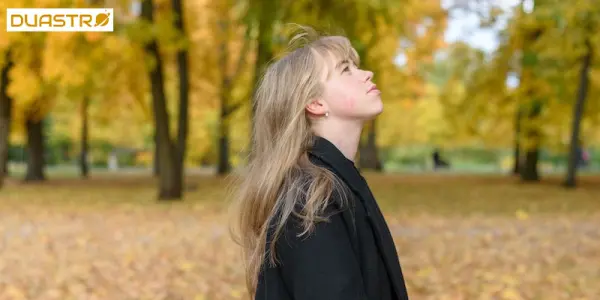Autumn Equinox Energies - Embracing Balance and Harvest